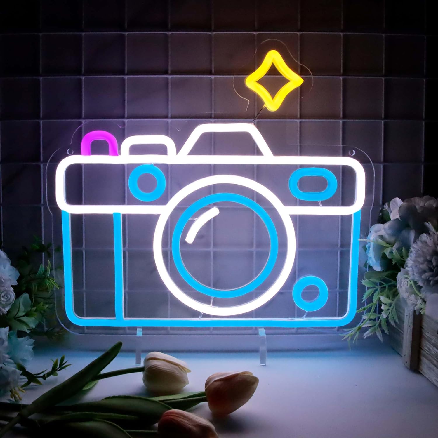 Photography Lighting Wall - لافتات نيون لديكور الحائط، إضاءة غرفة