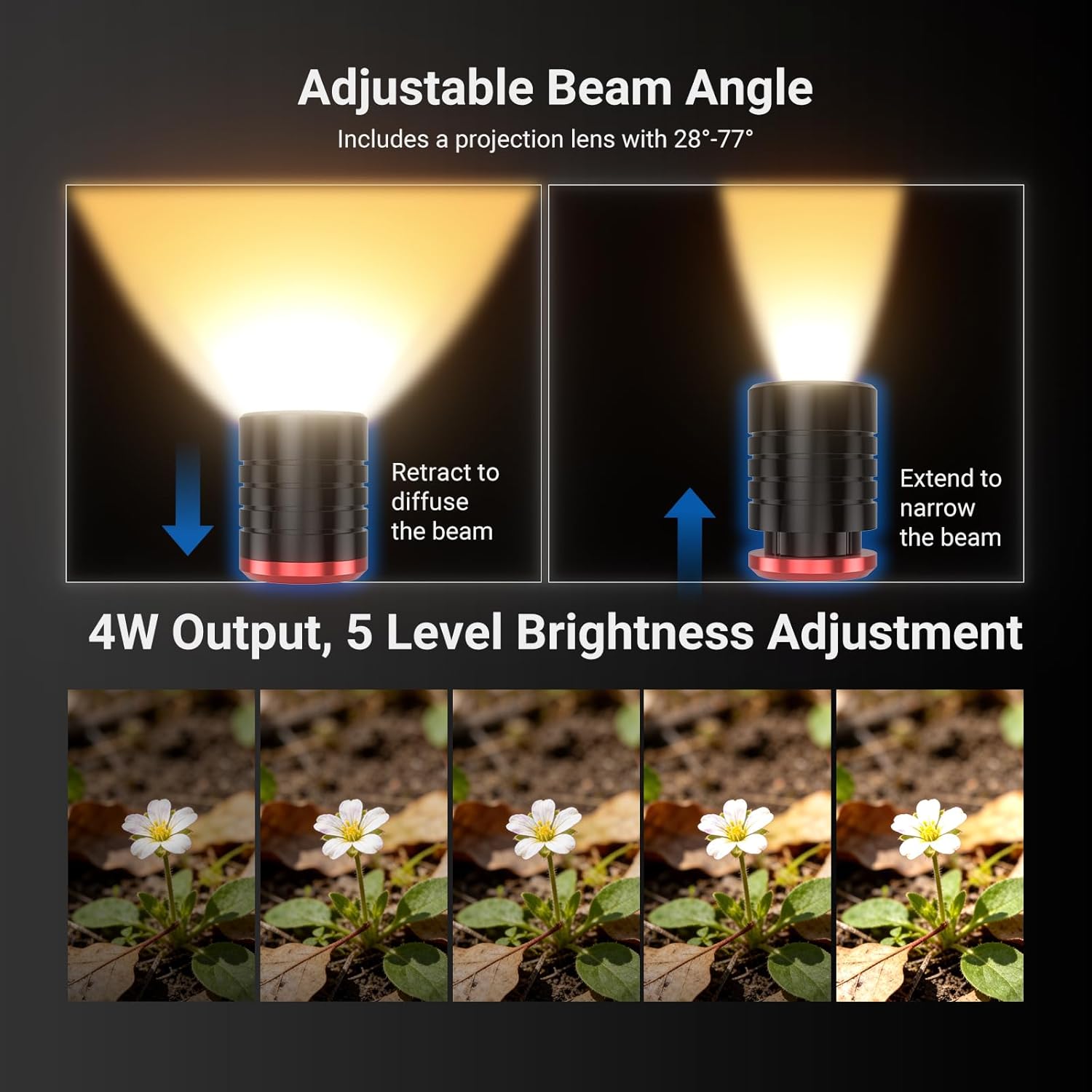 نيور بيسكس ML01 ضوء LED بمنفذ  - مراجعة Photography Lighting Basics وسعره