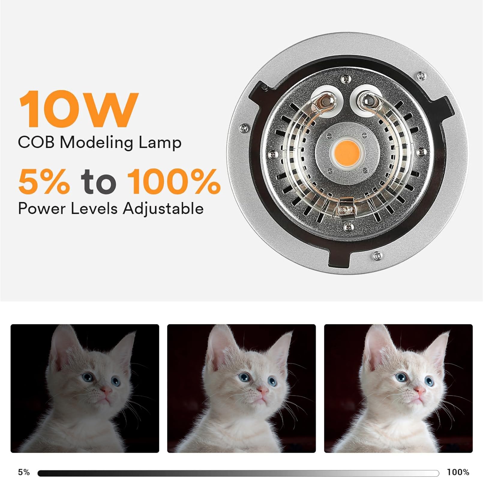 Godox MS200V ستوديو ستروب ضوء  - مراجعة Portrait Photography With Lighting وسعره